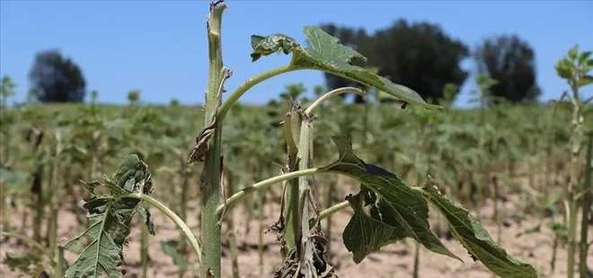 Kırklareli'nde hasar tespit çalışmaları tamamlandı