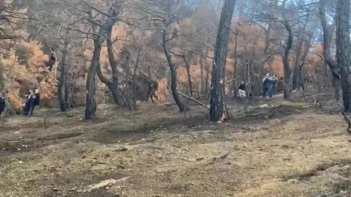 Ormanlık alanda yanmış ceset bulundu! Sırrı akıllı saat çözecek