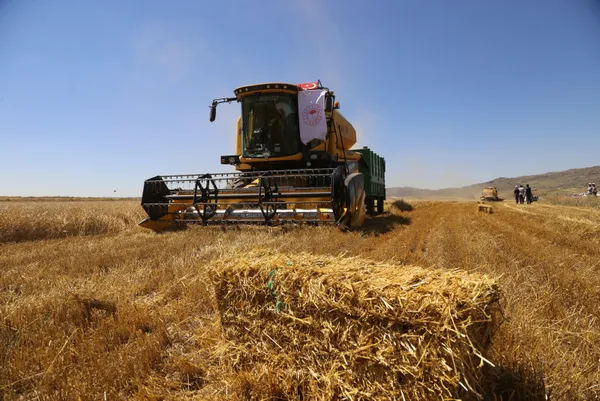 1657688640717.jpg Tahıl koridoru için İstanbul Zirvesi! Dünyanın kalbi Türkiye'de attı