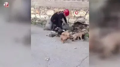 Su borusundan 7 yavru köpek çıktı