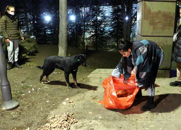 1644521123883.jpg Ankara'da 8 köpek ölü bulundu! Zehir verildi iddiası... - 3