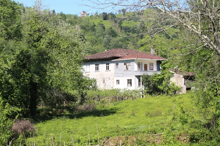 Son dakika: Kokutan koronavirüs raporu! Rize Valisi uyardı: Vakaların yüzde 83'ü ev bulaşı - 3