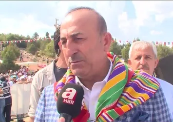 Bakan Çavuşoğlu'ndan A Haber'e flaş Almanya açıklaması