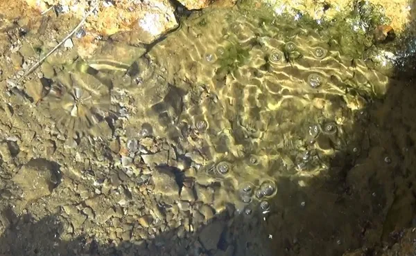1688725281122.jpg Bitlis’te doğal maden suyuna yoğun ilgi: Yılda 4-5 kez gidiyoruz - 4