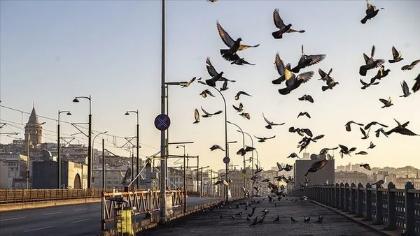 1615052651421.jpg O illerde sokağa çıkma kısıtlaması başladı! İstanbul Ankara ve İzmir'de pazar günü yasak var mı? Kafe ve restoranlar pazar günü açık mı? - 5