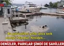 Vatandaşlardan İmamoğluna gönderme!