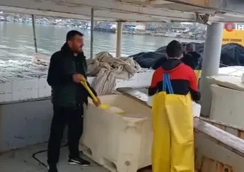 Düzce’de 3 bin kasa Hamsi ile döndüler