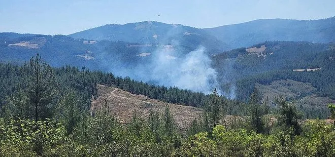 Bursa'da ormanlık alanda çıkan yangın kontrol altına alındı