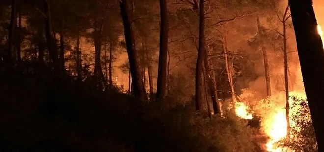 Muğla’da 4 farklı bölgede yangın kontrol altına alındı