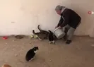 Diyarbakır’da hayvanların sessiz kahramanı