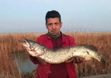Kayseri'de oltayla yakaladı! Görenler şaştı kaldı