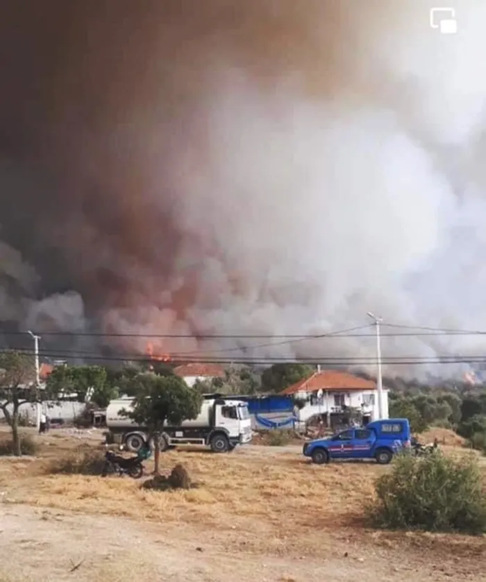 Son dakika: Aydın ve Karabük'te orman yangın - 4
