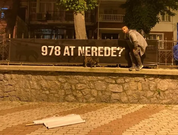 Adalar halkından at isyanı! 978 at nerede? Ekrem İmamoğlu’na kayıp at tepkisi