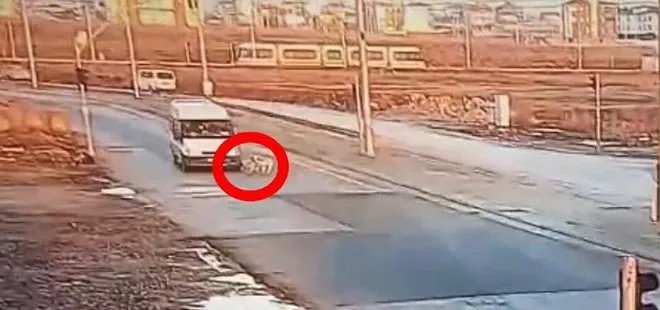 Yaralı köpeğe akılalmaz muamele! Minibüs yaraladı CHP’li belediye çalışanı ölüme sürükledi