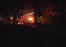 Adanada orman yangını