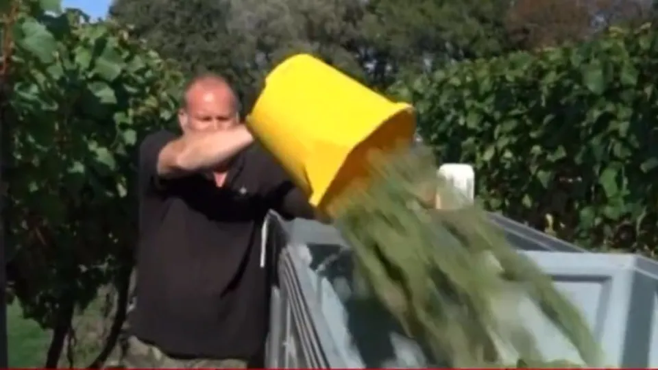 Yaş meyve sebze ihracatında rekor