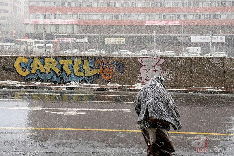 Güney Afrika’ya yıllar sonra kar yağdı! 3