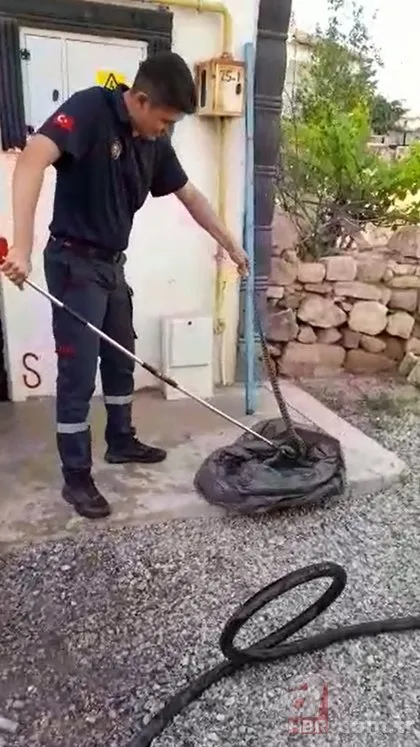 Kırıkkale’de 2 metrelik yılanı görünce ne yapacaklarını şaşırdılar! 🐍