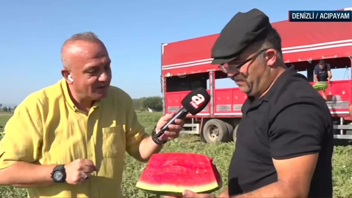 Denizli Acıpayam'da karpuz hasadı yapılıyor