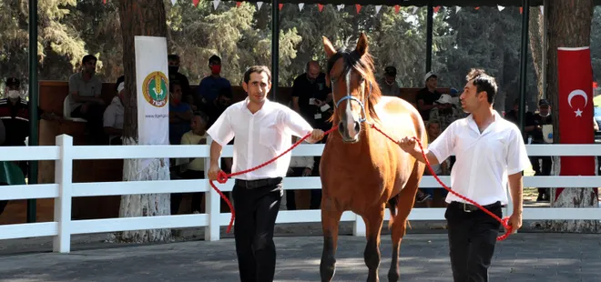 Bursa’da ev fiyatına tay satıldı