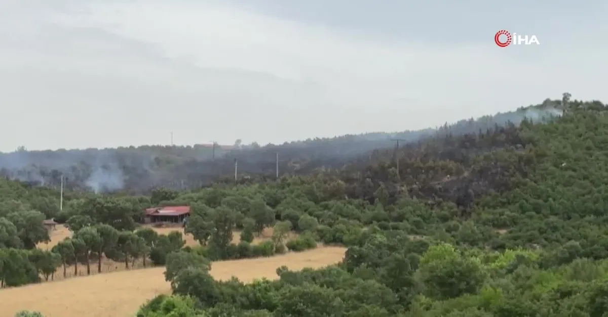 Balıkesir İvrindi'de orman yangını