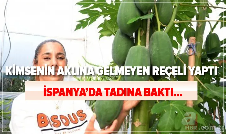 İspanya'ya gidip tadına baktı! Kimsenin aklına gelmeyen reçeli yaptı! Şimdi paraya para demiyor... 1