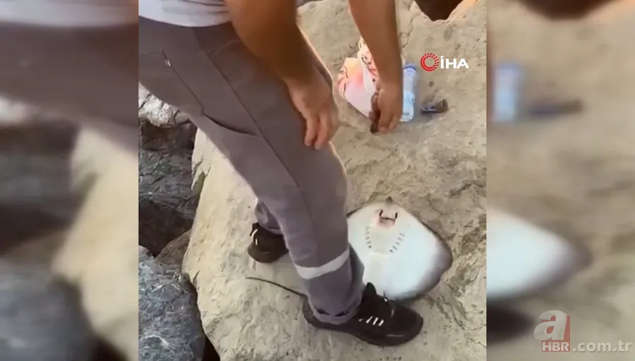 İstanbul Pendik’te şoke eden olay! Balıkçının oltasına öyle bir şey takıldı ki… 6