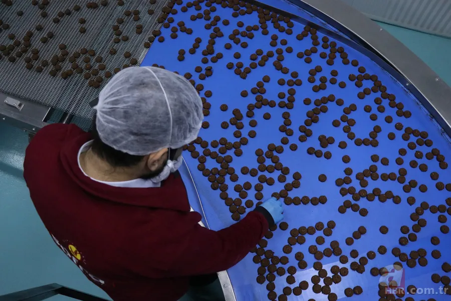 200 milyon TL devlet desteğiyle kuruldu! Kayseri'den 5 ülkeye ihraç ediyor 4