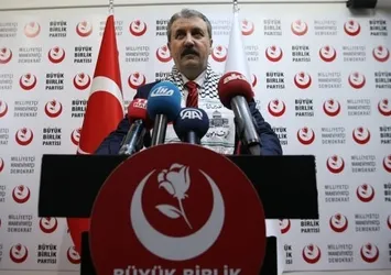 Erdoğan'la görüşen Destici'den açıklama!