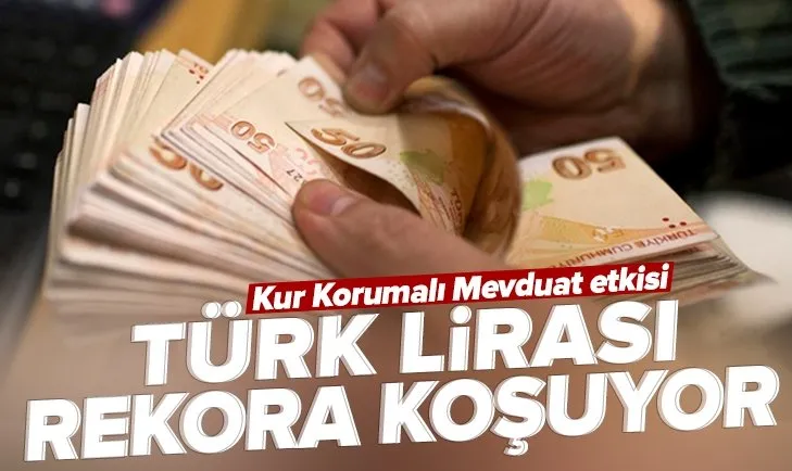 Hem yerli hem yabancı yatırımcı TL’yi tercih ediyor! Türk lirası rekora koşuyor