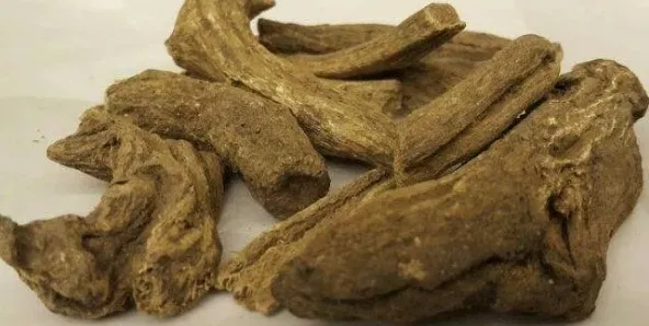Koronavirüse savaş açan udi hindi kilosu 250 TL'den satılıyor! Dünya udi hindi peşinde - 7