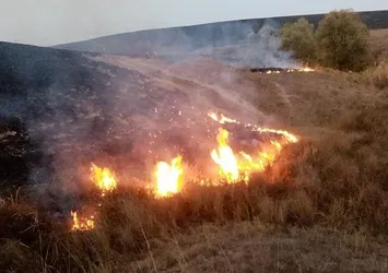 Uzmanlardan dikkat çeken uyarı: Anız yangınlarına dikkat