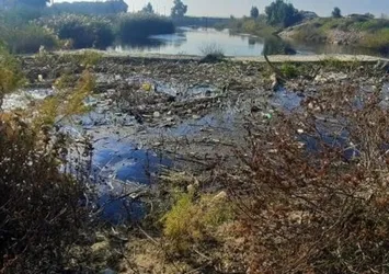 Ege Denizi'ne dökülen Büyük Menderes Nehri'nde skandal görüntü! Bakanlık harekete geçti