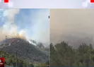 Hatay’da orman yangını çıktı