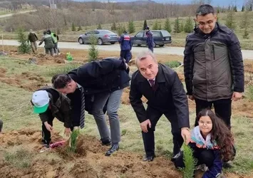 Çok sayıda fidan toprakla buluştu
