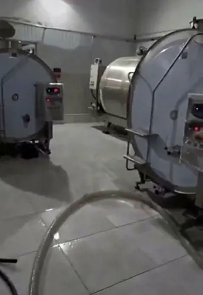 TikTok'ta rezalet! Konya'da süt fabrikasında skandal görüntüler! Hem firma hem bakanlıktan açıklama - 4