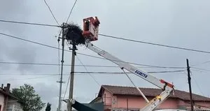 Bozulan leylek yuvası düzeltildi