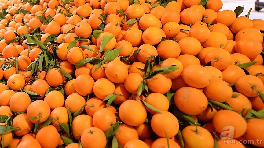 Güne pozitif başlamanın doğal yolu: Bilimin önerdiği mutluluk veren gıdalar 7