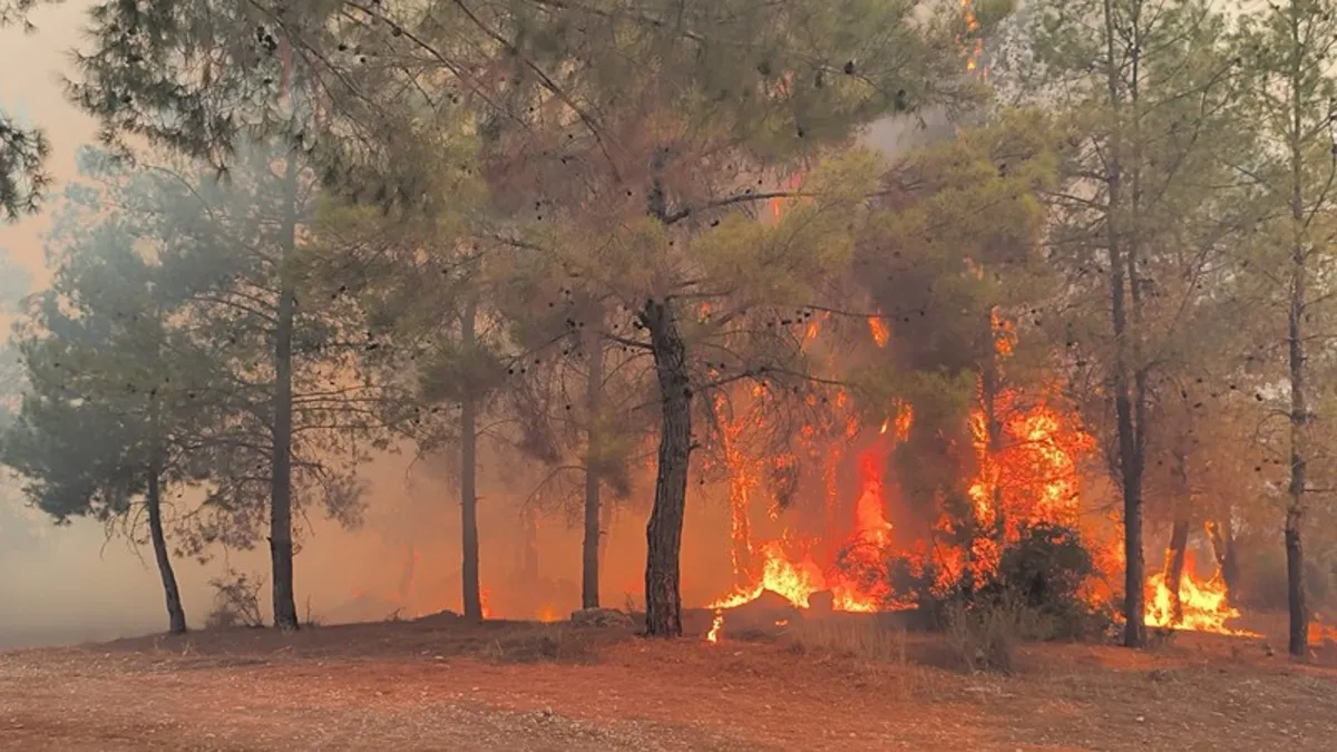 Antalya'da bu yıl 118 orman yangını çıktı