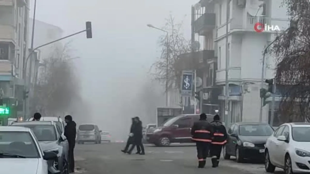 Ardahan’da soğuk hava ve sis hayatı olumsuz etkiliyor