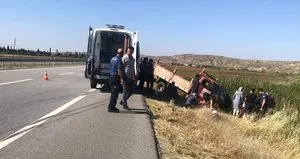 Tarlada dehşeti yaşadılar!