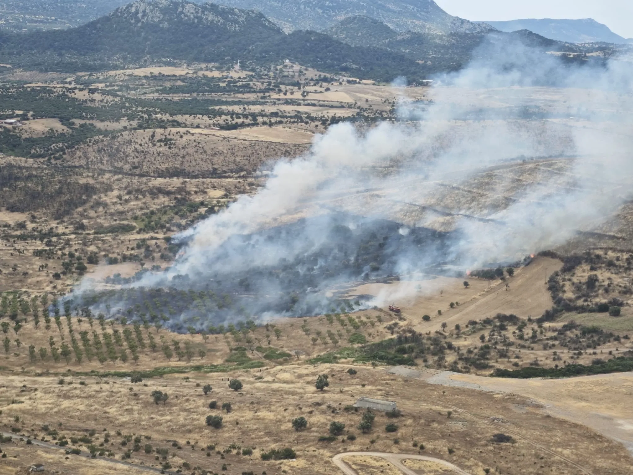 Çanakkale'de ormanlık alanda yangın çıktı! Ekipler müdahale ediyor