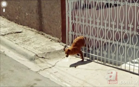 Google'da kestirme yol ararken aldatıldığını öğrendi! O görüntüler şaşkına çevirdi 16