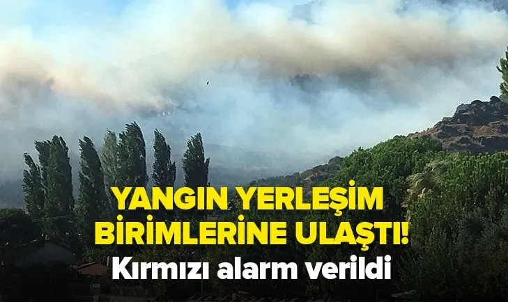Balıkesir’de orman yangını