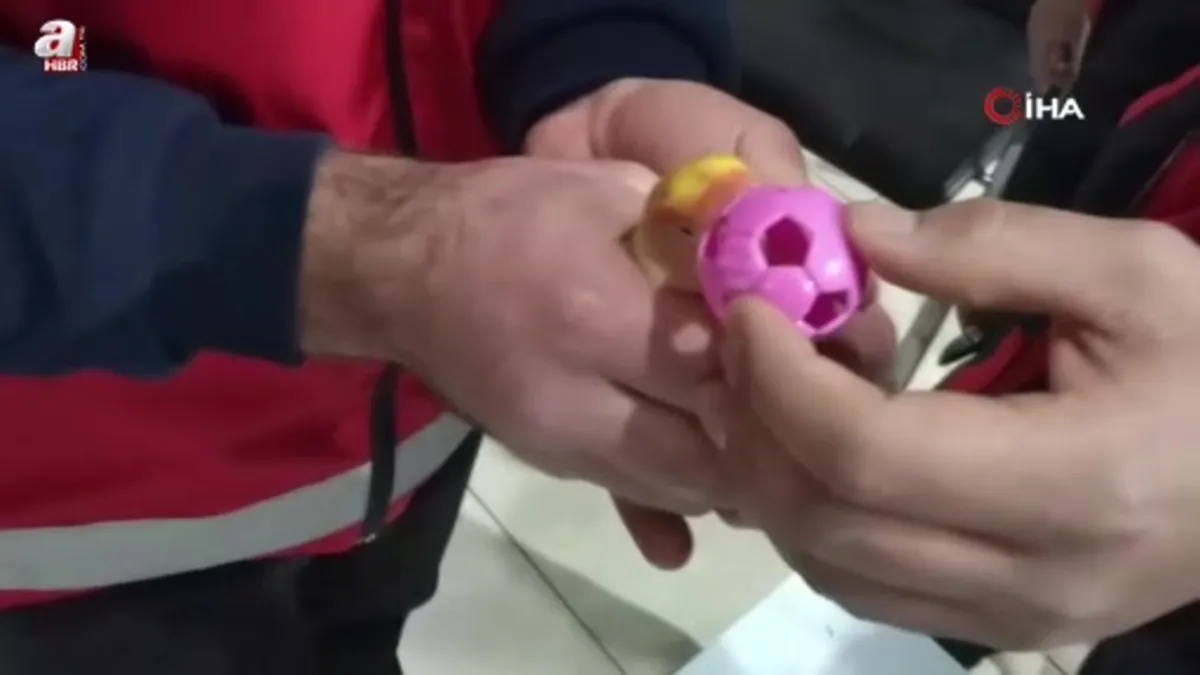 Kayseri'de gagasına top sıkışan papağanı itfaiye kurtardı