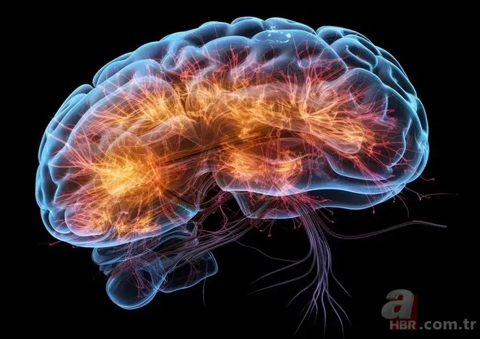 İbn-i Sina'dan asırlık öneri! Her evde bulunuyor! Hafızayı çelik gibi yapan baharat... 2