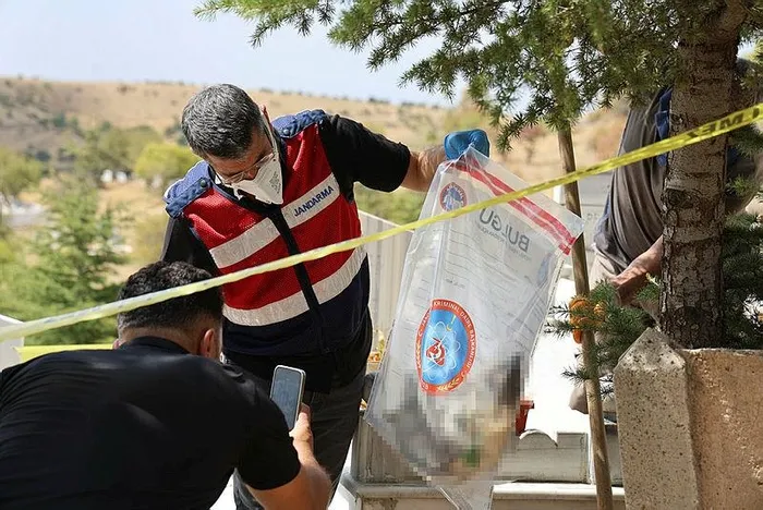 1724764063472.jpeg Mezarlıkta dehşet! Poşete sarılı halde bebek cesedi bulundu - 1