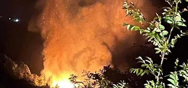 Yalova’da korkutan orman yangını! 2 kişi gözaltında