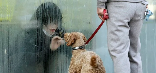 Japonya’da ilk kez görüldü! 2 köpeğin koronavirüs testi pozitif çıktı