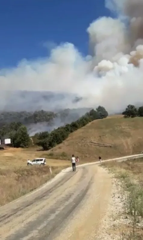 Bursa Yenişehir’de korkutan orman yangını!